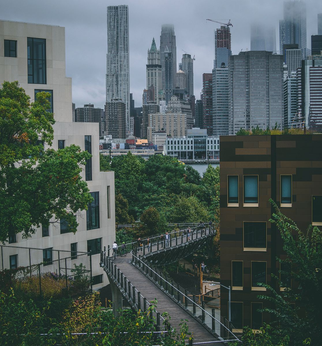 bridge near trees during daytime